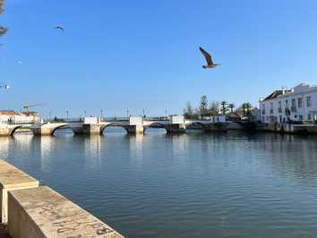 Tavira