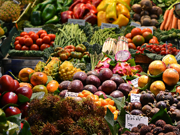 Mercados Municipais de Albufeira