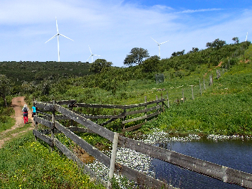 Barão de São João National Woods