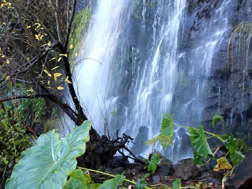 Cascata do Barbelote