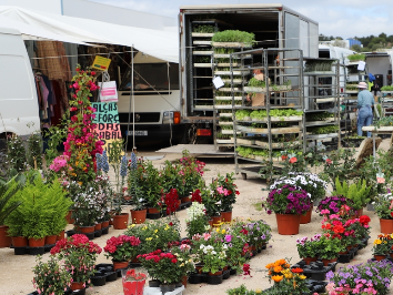 Castro Marim Markets and Fairs