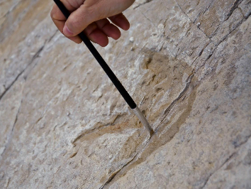 Dinosaur footprints at Praia da Salema