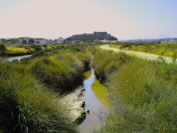 Reserva Natural do Sapal de Castro Marim e Vila Real de Santo António