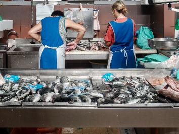 Mercados e Feiras de Portimão e Alvor