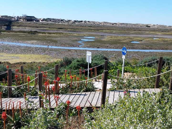 Parque Natural da Ria Formosa