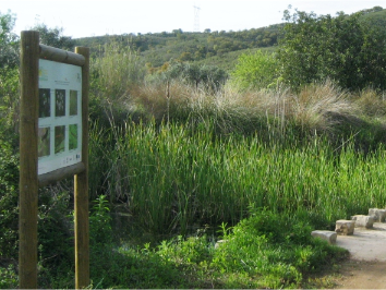 Ribeira de Alportel trail