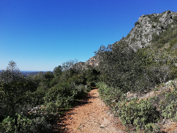 Rocha da Pena trail