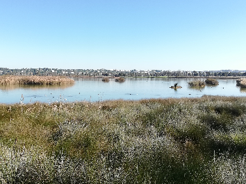 Salgados Lagoon