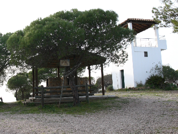 Woods of Conceição de Tavira