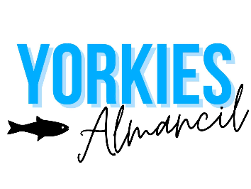 YORKIES Fish & Chips & Candy Shack