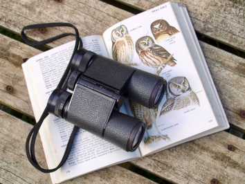 Bird-watching Spots 