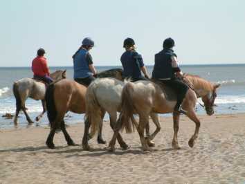 Horse Riding